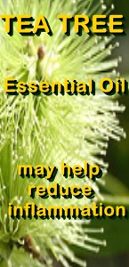 Ormus Minerals Pure Magnesium Oil with Tea Tree Essential Oil bnr Ormus Minerals Pure Magnesium Oil with Tea Tree Essential Oil bnr